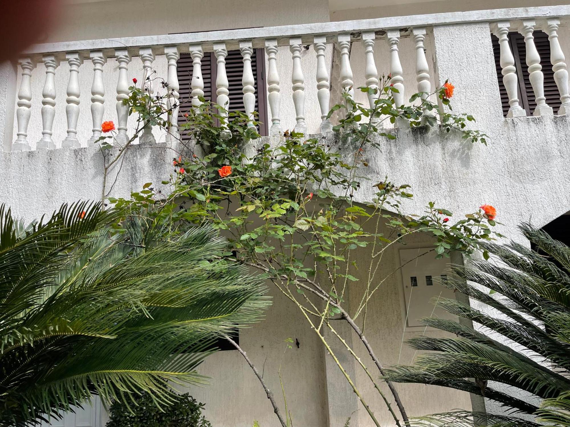 House Irena Hotel Будва Екстериор снимка
